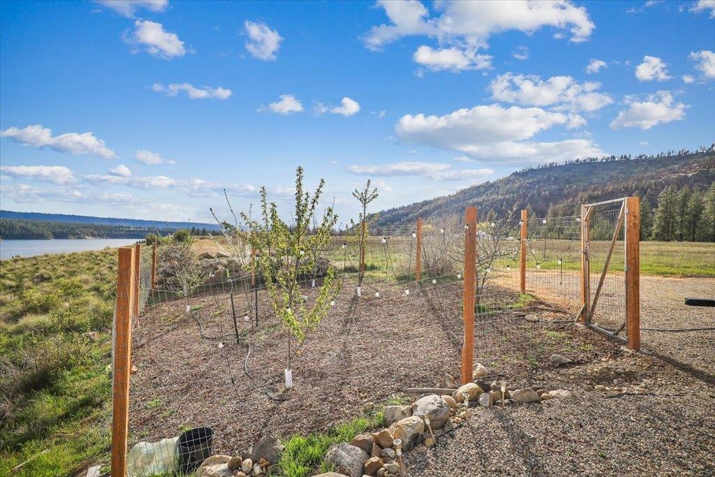 7295 Highway 291 Ford, WA 99013 - Photo 12 of 15