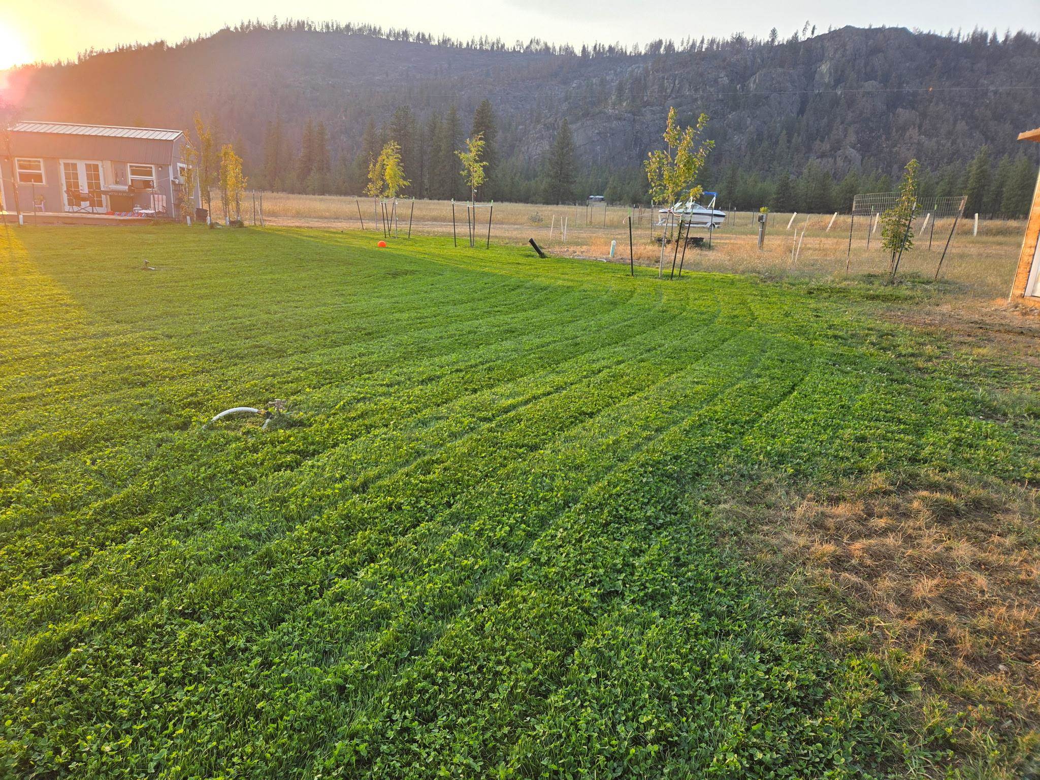 7295 Highway 291 Ford, WA 99013 - Photo 13 of 15