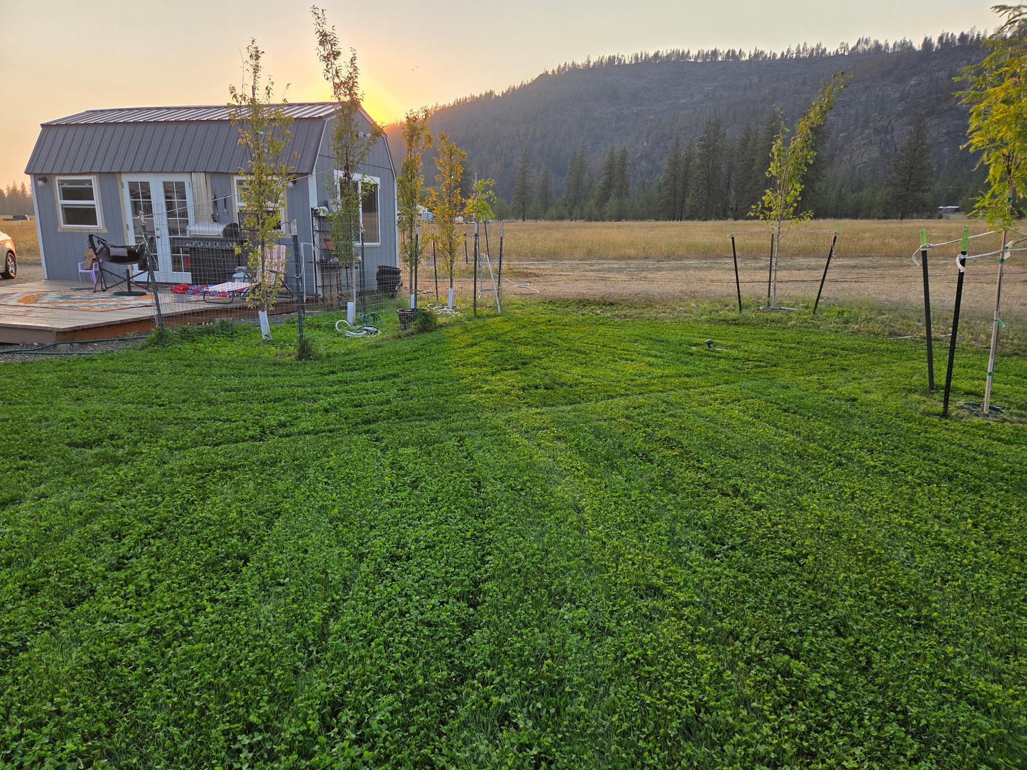 7295 Highway 291 Ford, WA 99013 - Photo 14 of 15