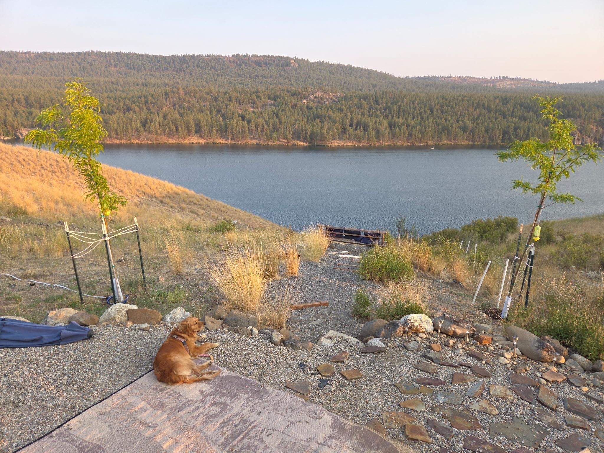 7295 Highway 291 Ford, WA 99013 - Photo 15 of 15