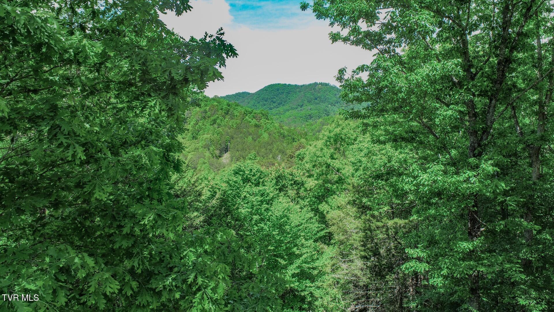 2975 Arch Road Cosby, TN 37722 - Photo 54 of 57 46