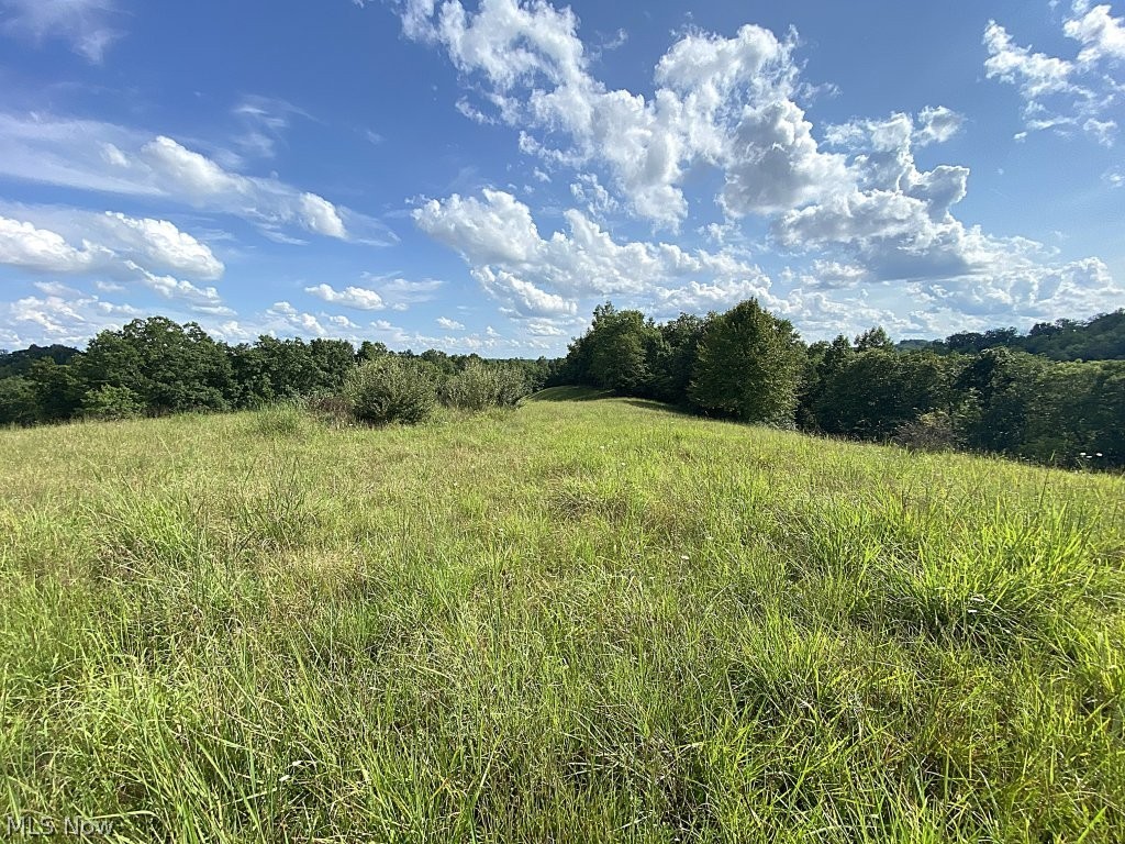 Little Left Hand Road Amma, WV 25005 - Photo 2 of 18 Gallery Image 2