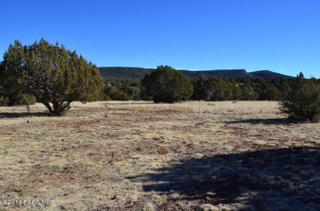 220 West Craig Road Seligman, AZ 86337 - Photo 12 of 12 Backyard