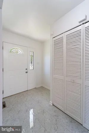 a view of a potted plant in a room