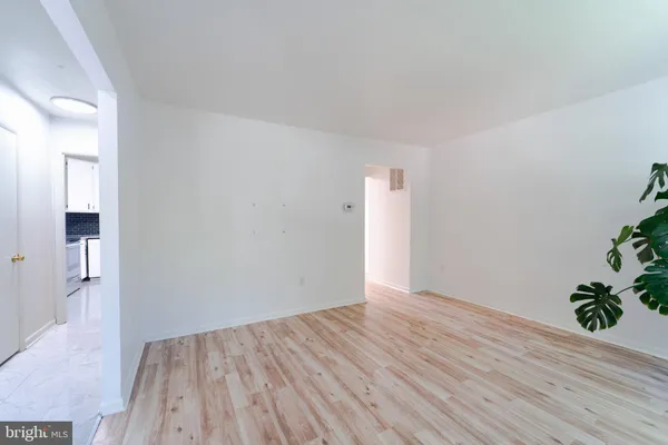 a room with wooden floor and a potted plant