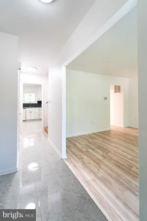 a view of a room with wooden floor and plant