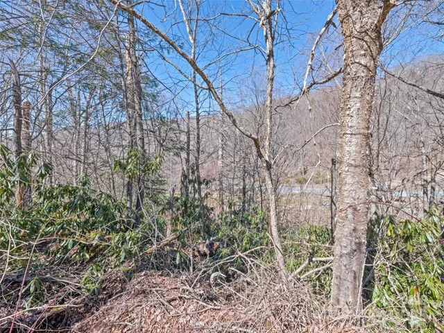 a view of swimming pool