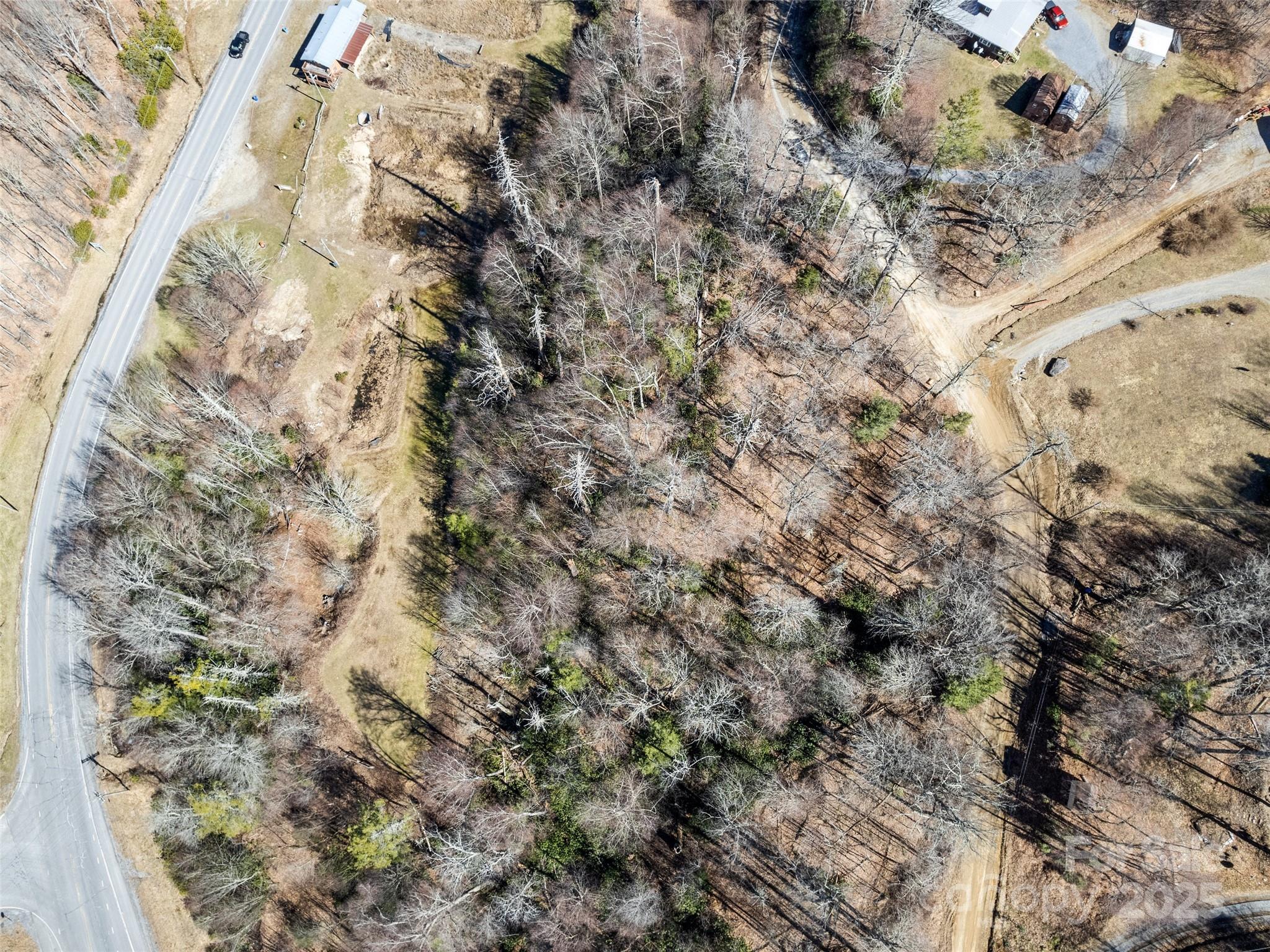 Lot 5 Spruce Flats Road Maggie Valley, NC 28751 - Photo 7 of 13