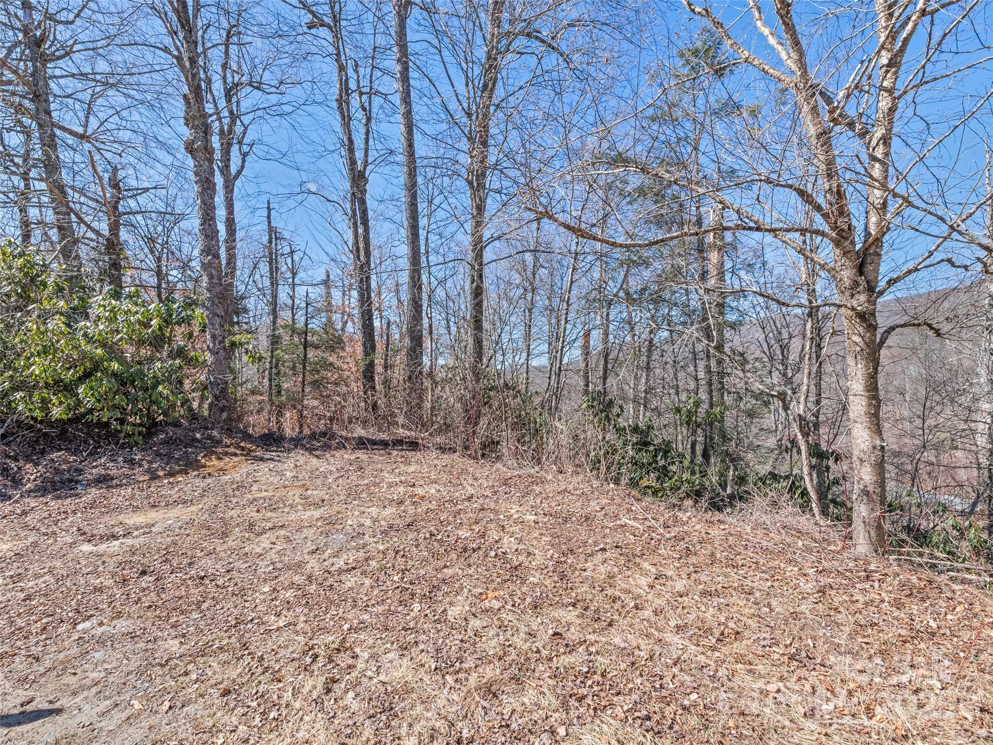 Lot 5 Spruce Flats Road Maggie Valley, NC 28751 - Photo 8 of 13 a backyard of a house with lots of green space