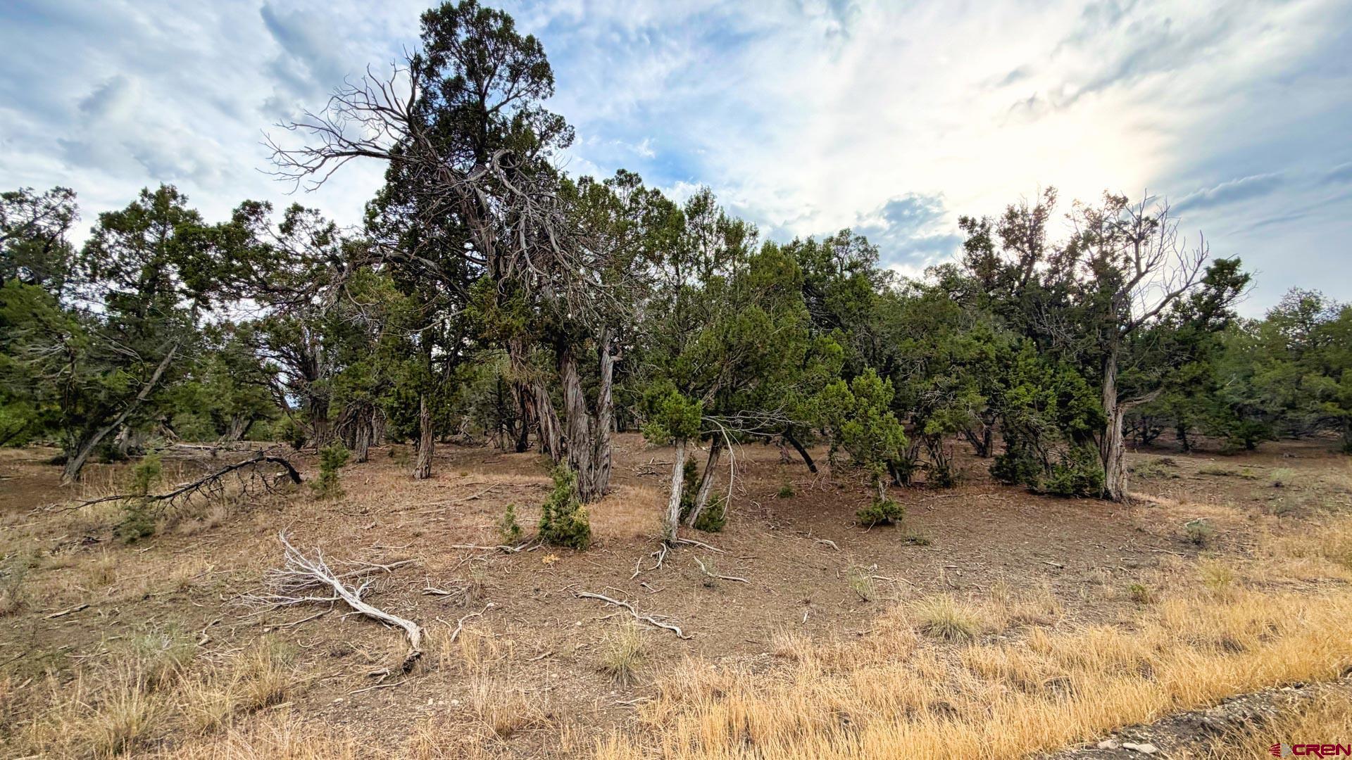 0 Road 35 Road Mancos, CO 81328 - Photo 45 of 45 Gallery Image 45