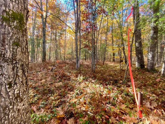 $59,900 | 0 Cottage Lane, Brownfield, ME 04010