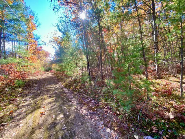 $59,900 | 0 Cottage Lane, Brownfield, ME 04010