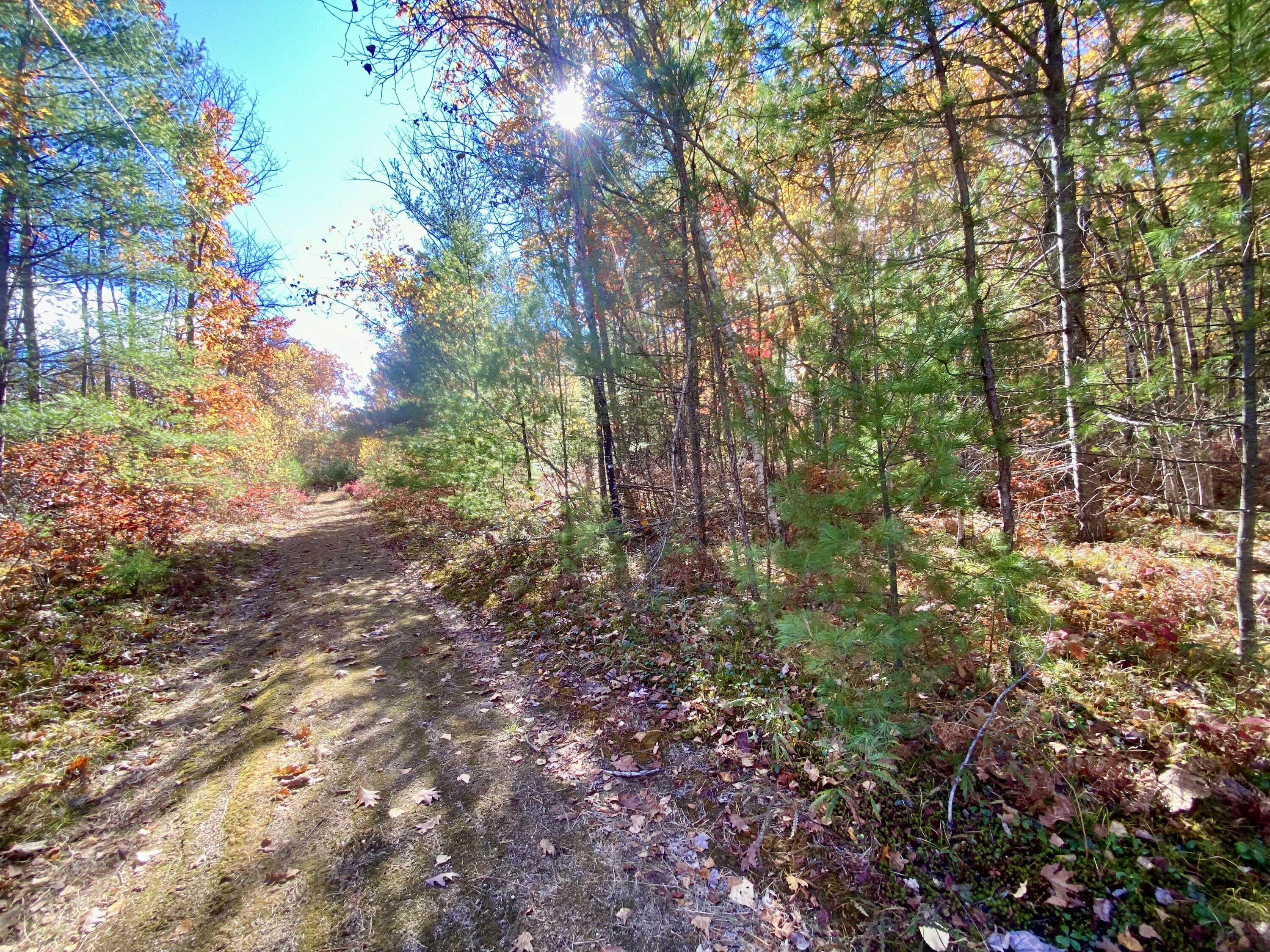 0 Cottage Lane Brownfield, ME 04010 - Photo 3 of 7 IMG_4052