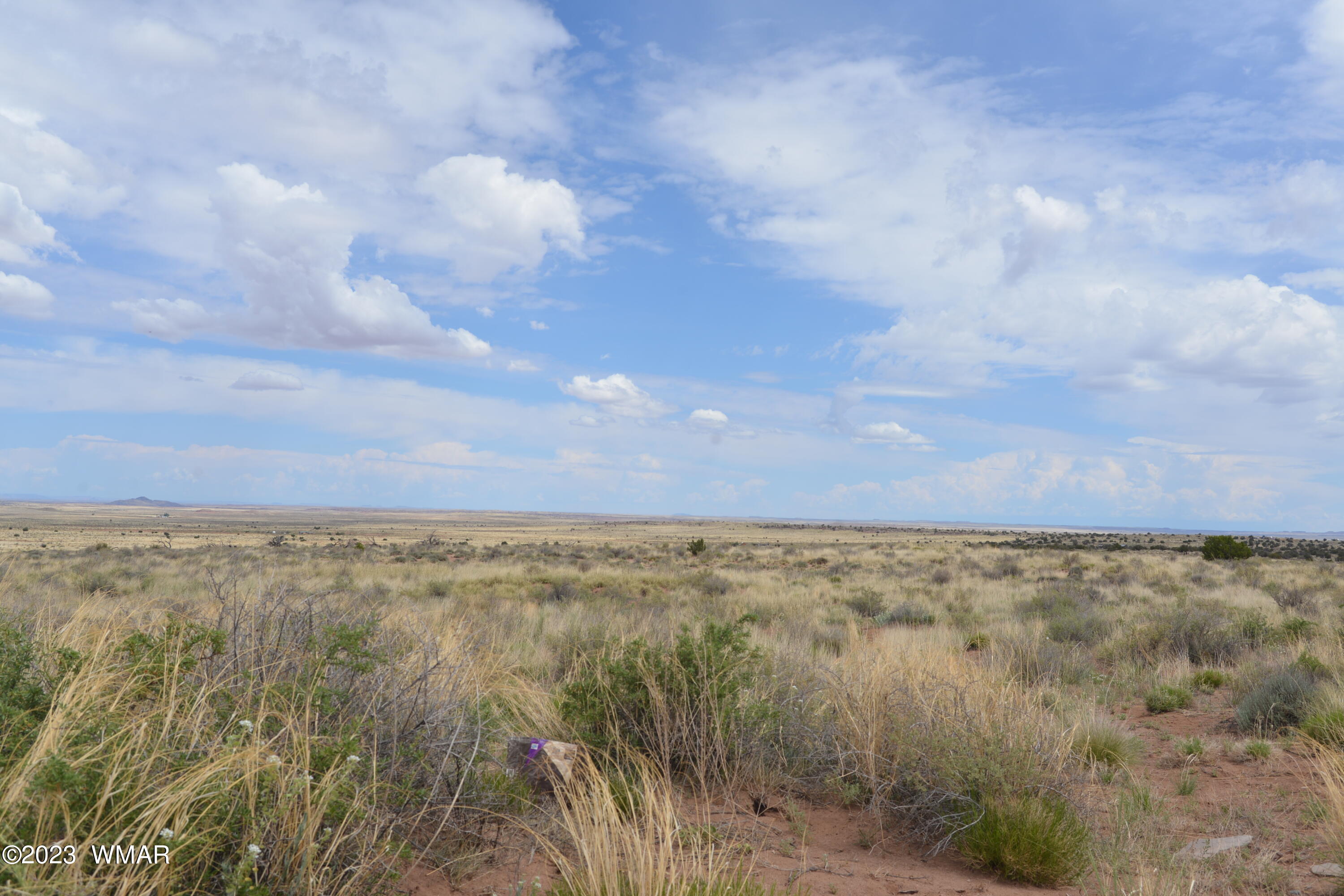 8181 Uttecht Trail Snowflake, AZ 85937 - Photo 1 of 5