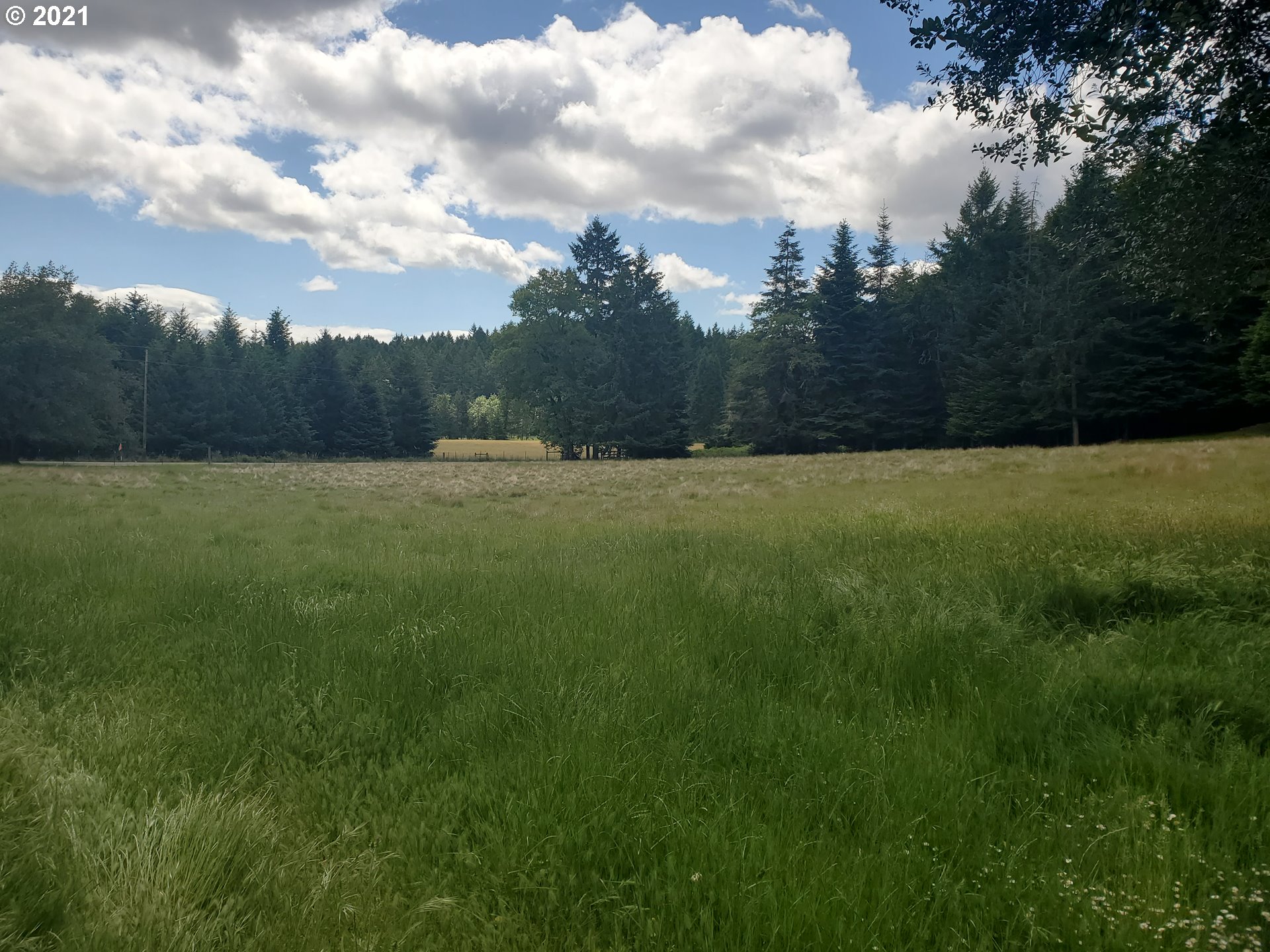 3047 Doerner Road Roseburg, OR 97471 - Photo 1 of 13 a view of an outdoor space and a yard