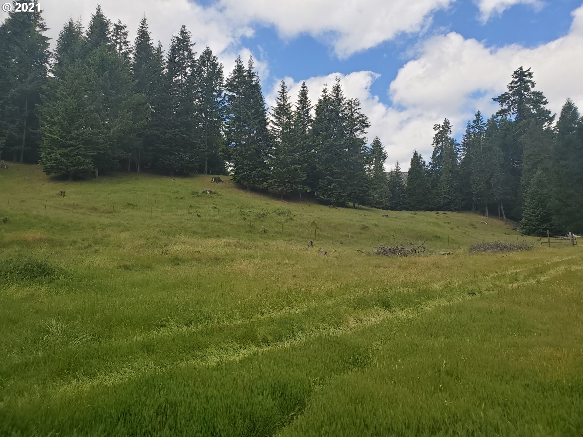 3047 Doerner Road Roseburg, OR 97471 - Photo 4 of 13 a view of grassy field with trees