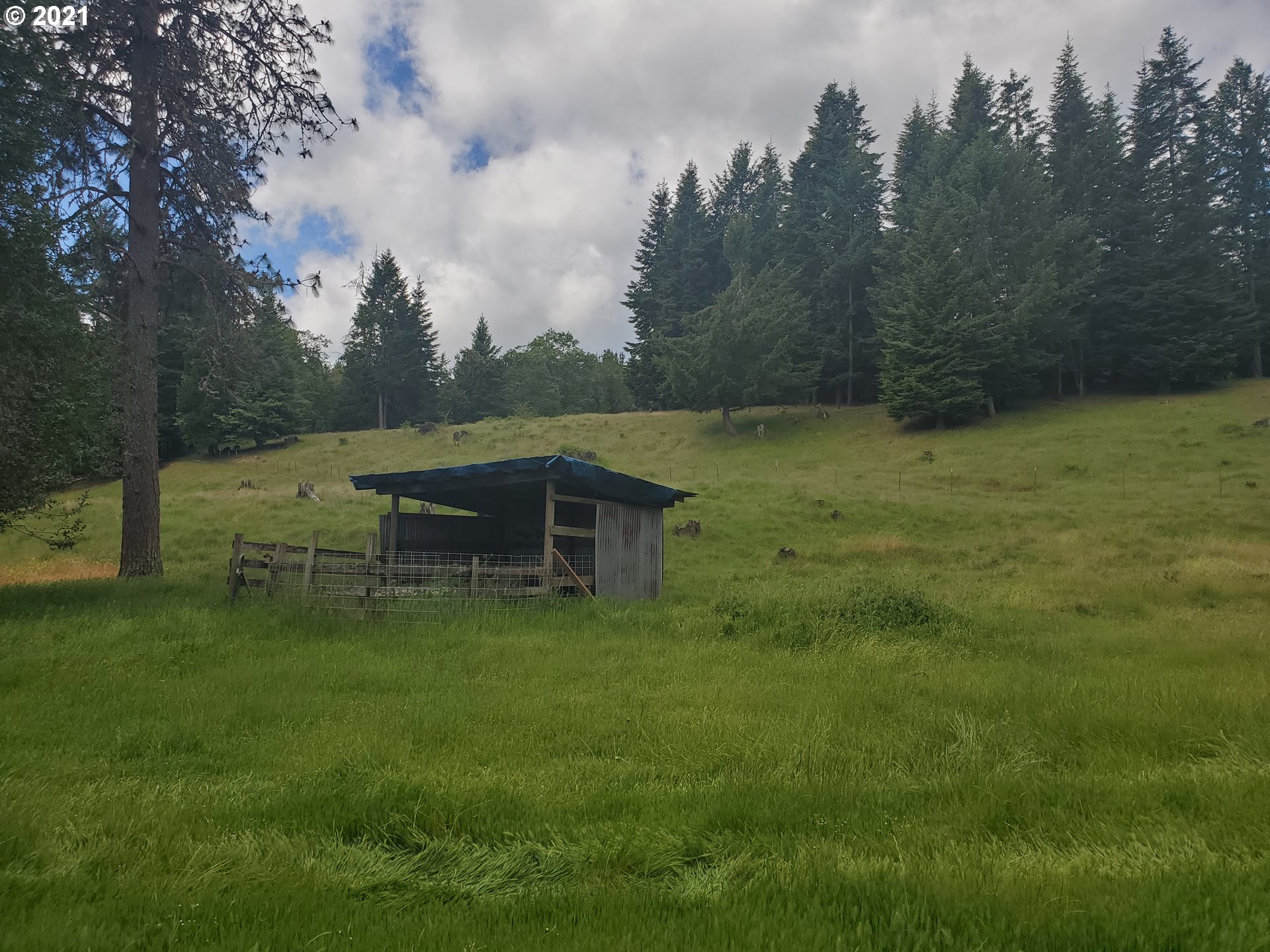 3047 Doerner Road Roseburg, OR 97471 - Photo 5 of 13 a backyard of a house with table and chairs