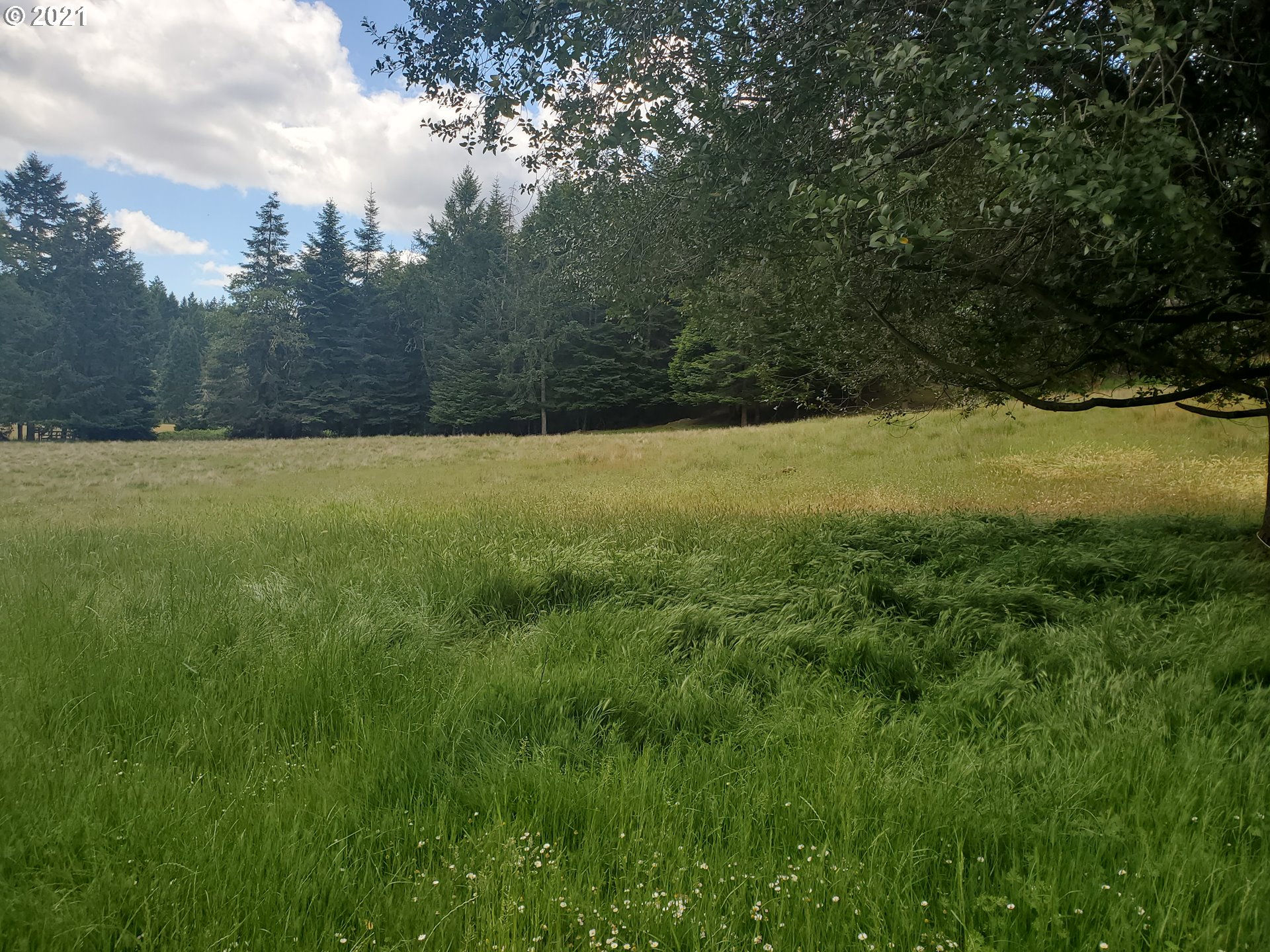 3047 Doerner Road Roseburg, OR 97471 - Photo 6 of 13 a view of outdoor space and yard