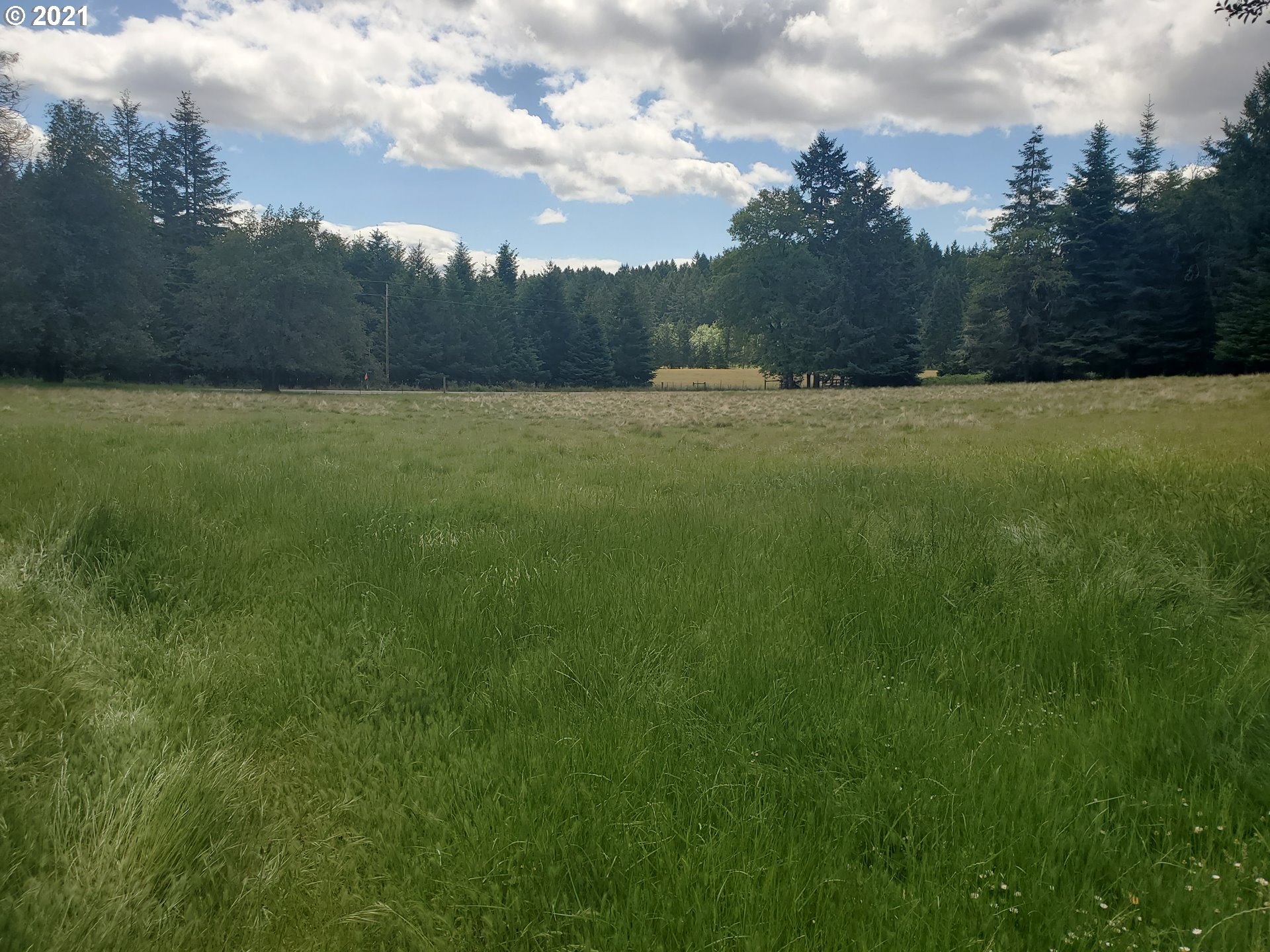 3047 Doerner Road Roseburg, OR 97471 - Photo 7 of 13 a view of outdoor space with green space