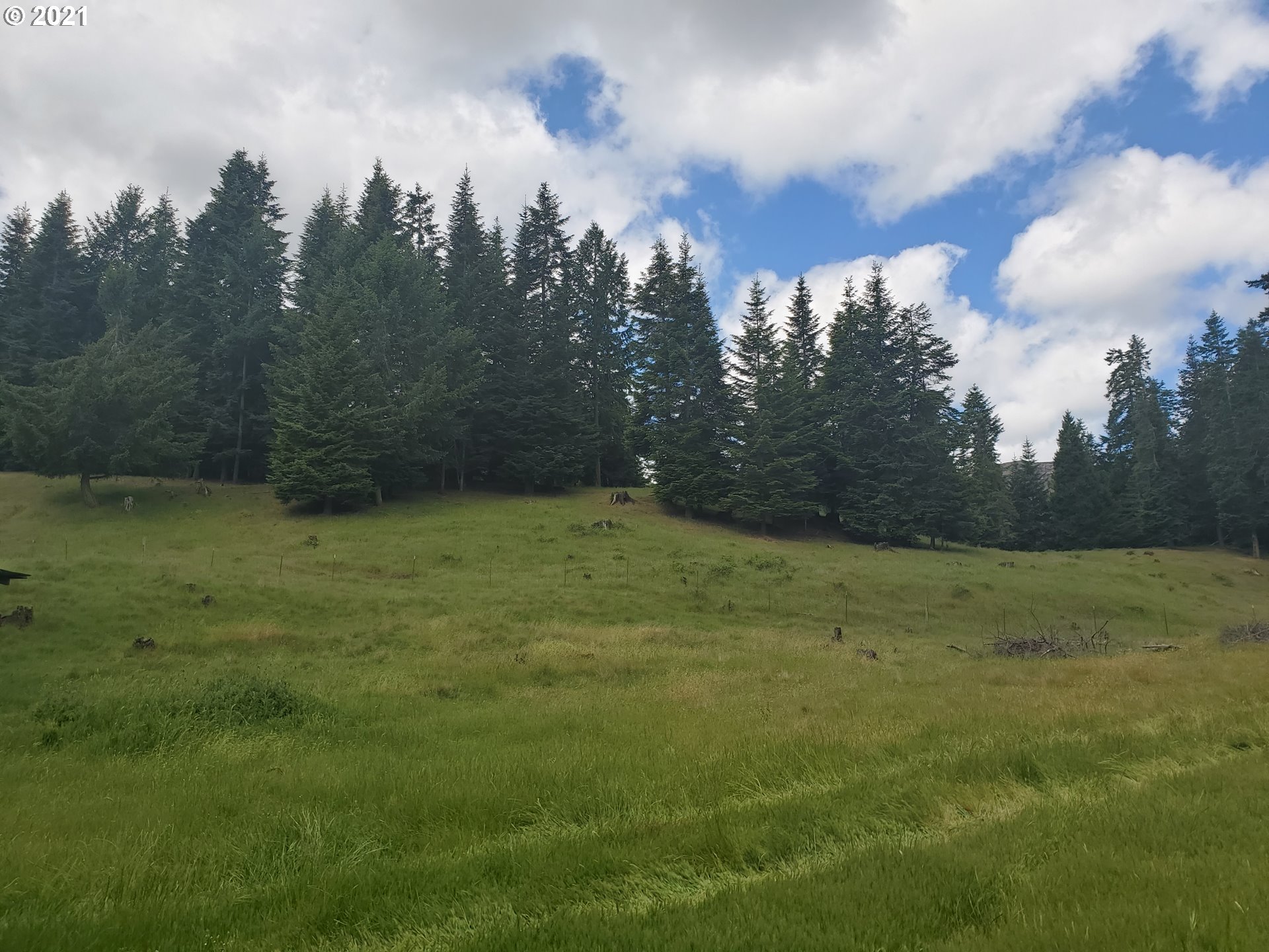 3047 Doerner Road Roseburg, OR 97471 - Photo 8 of 13 a view of a big yard