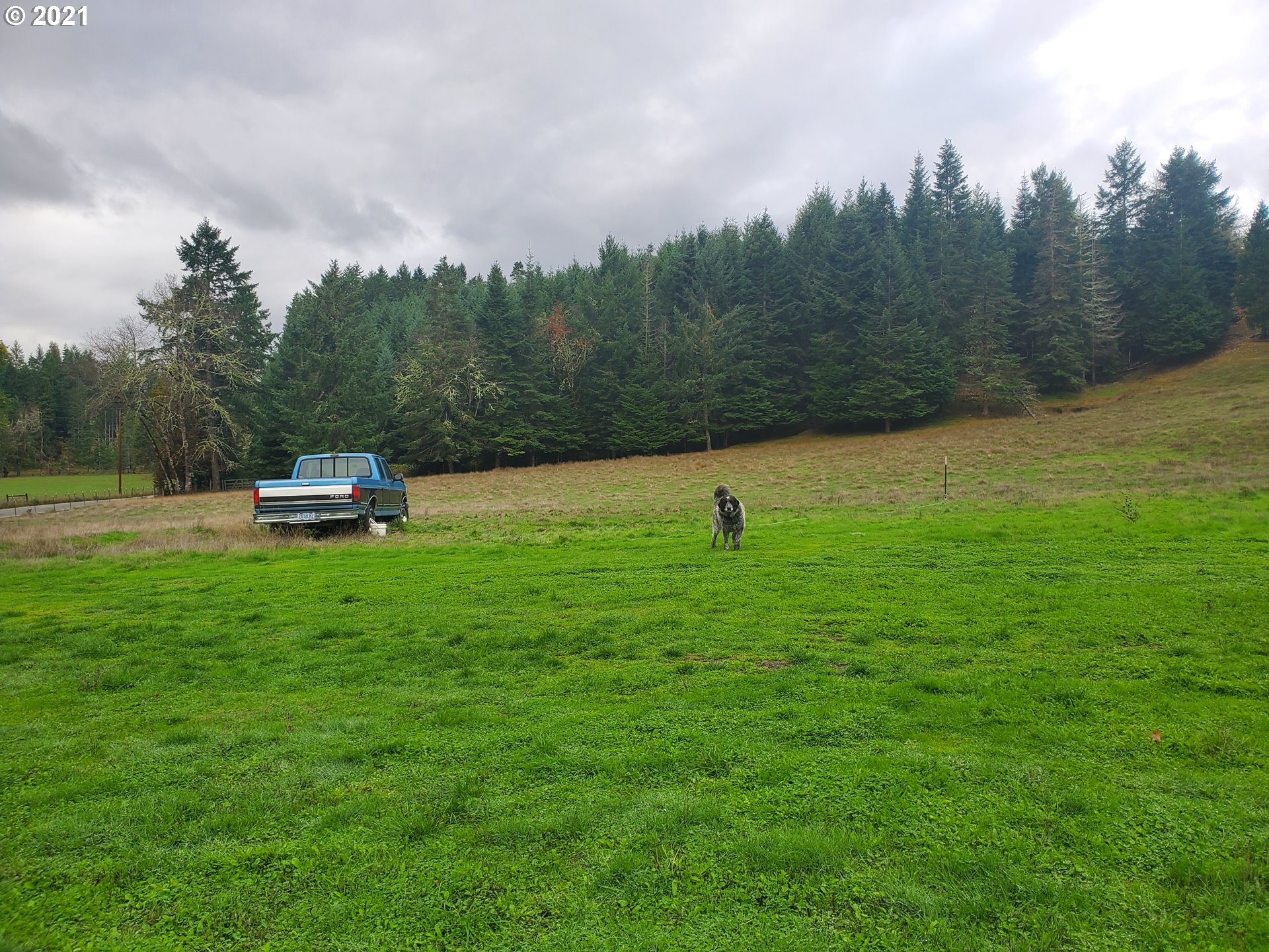 3047 Doerner Road Roseburg, OR 97471 - Photo 10 of 13 a view of a green field with trees in the background