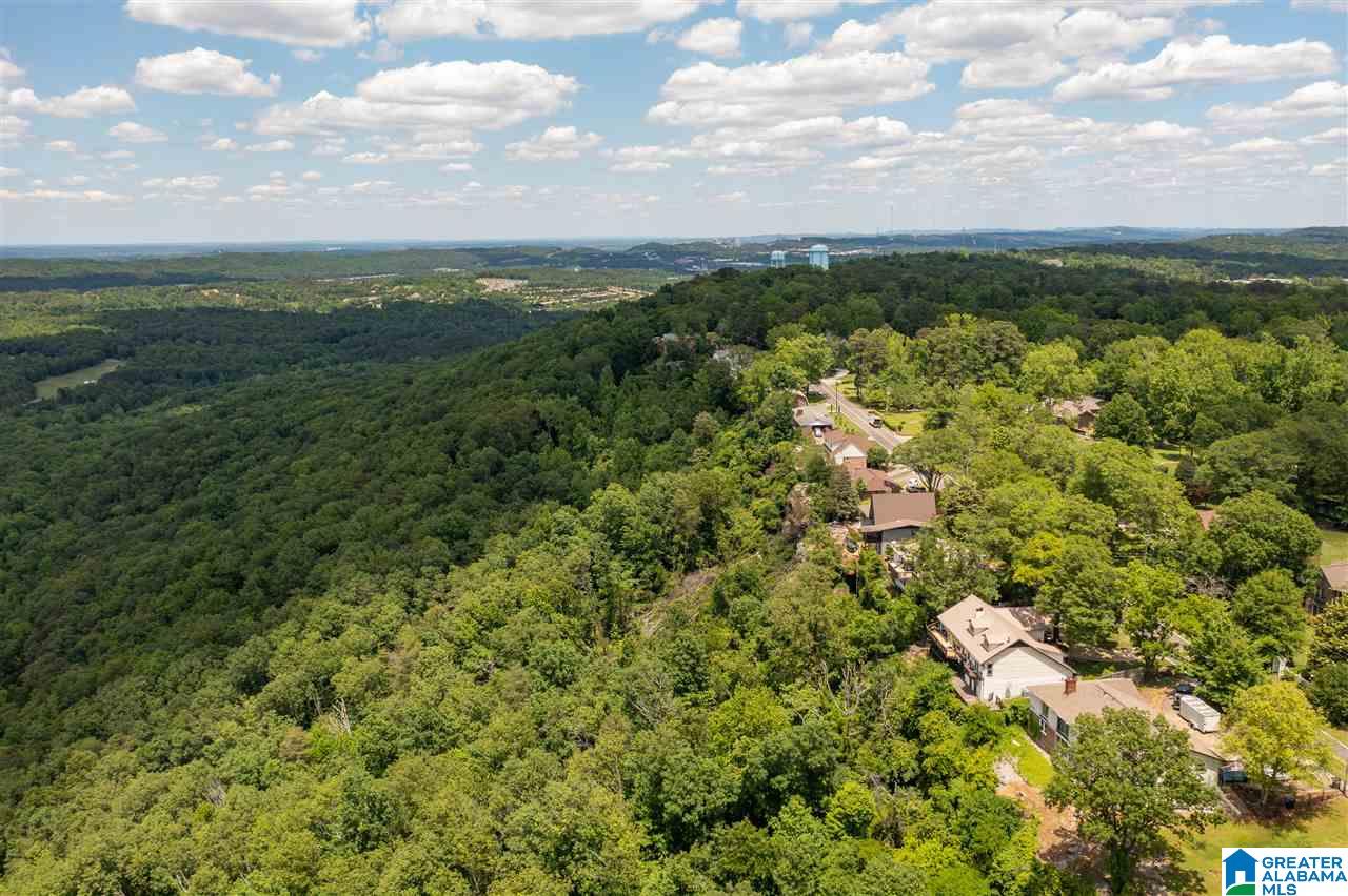474 Shades Crest Road Bessemer, AL 35022 - Photo 47 of 50