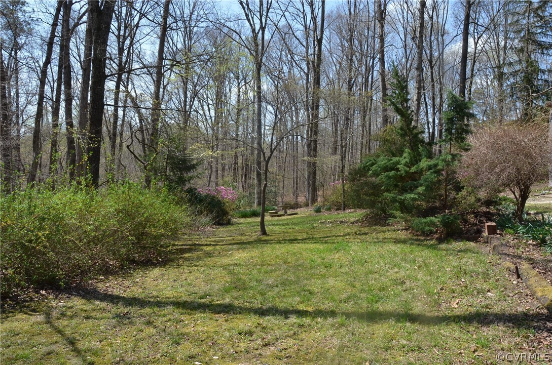 11422 Rhododendron Lane Doswell, VA 23047 - Photo 18 of 47 Gallery Image 18