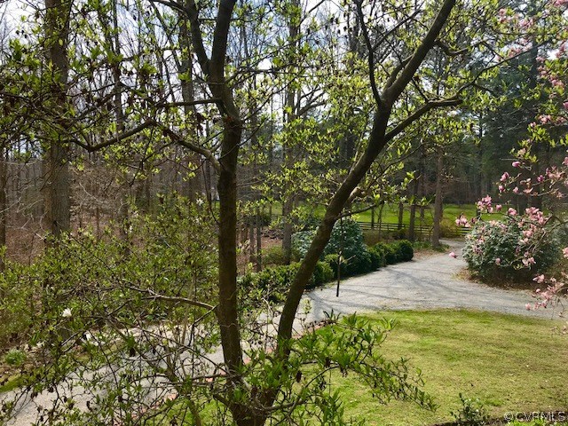 11422 Rhododendron Lane Doswell, VA 23047 - Photo 19 of 47 Gallery Image 19