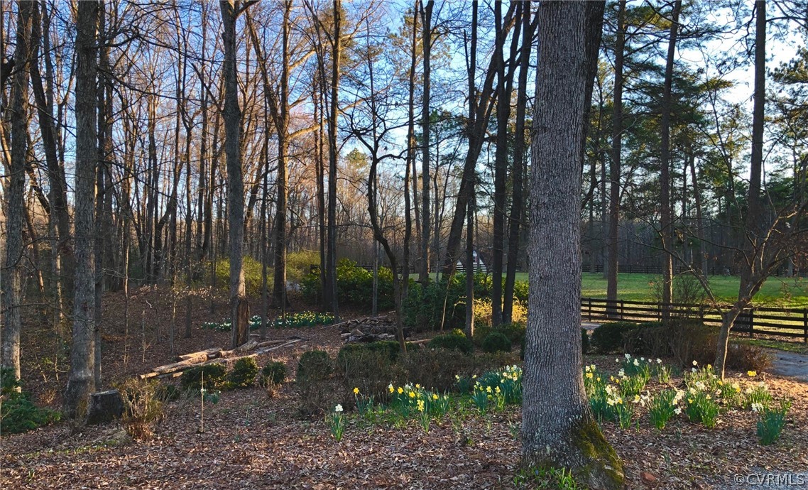 11422 Rhododendron Lane Doswell, VA 23047 - Photo 21 of 47 Gallery Image 21