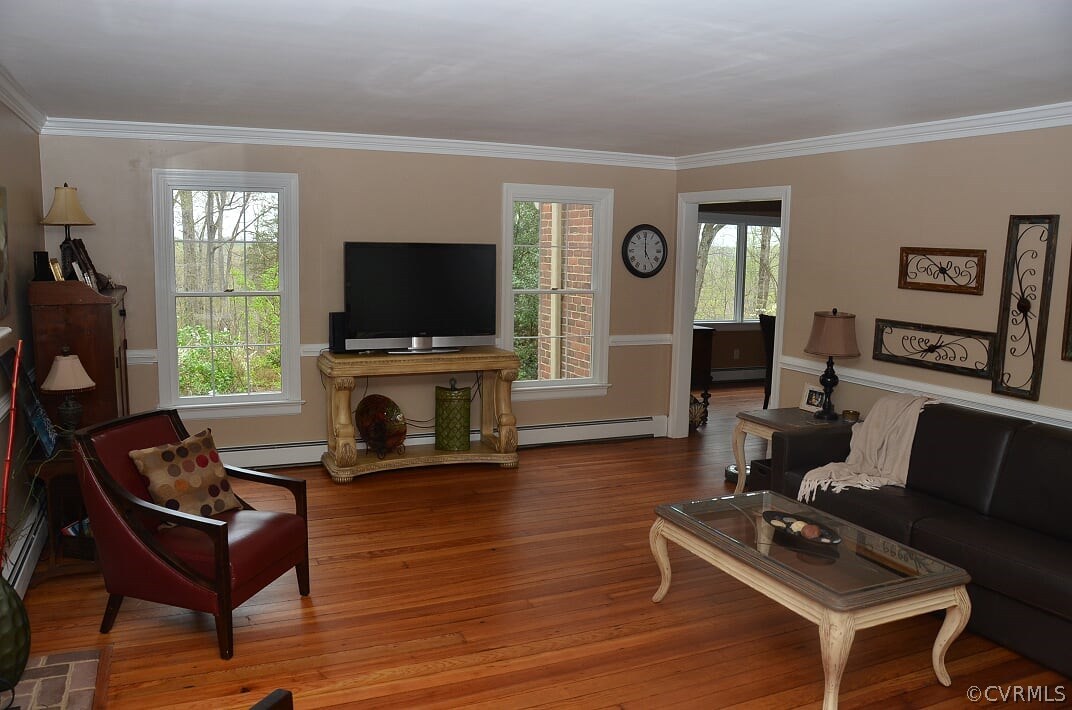 11422 Rhododendron Lane Doswell, VA 23047 - Photo 23 of 47 Living Room