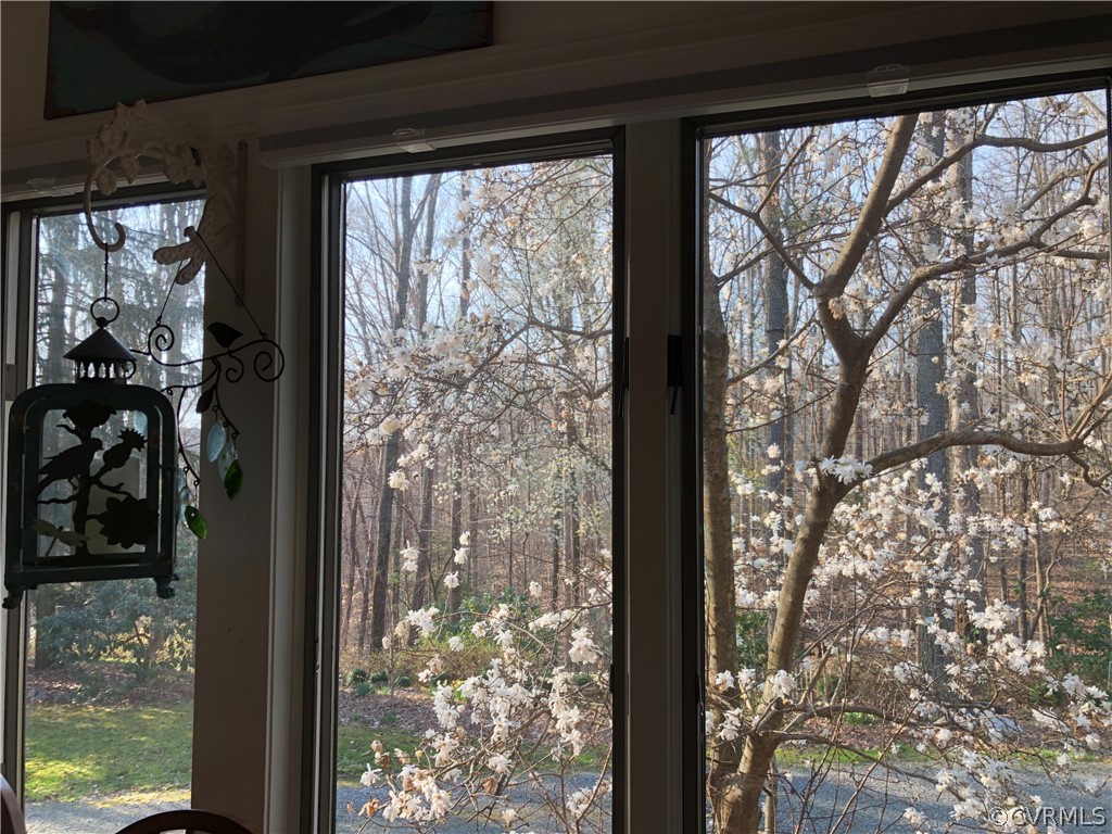 11422 Rhododendron Lane Doswell, VA 23047 - Photo 33 of 47 View from downstairs Master