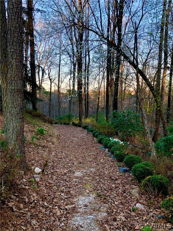 11422 Rhododendron Lane Doswell, VA 23047 - Photo 42 of 47 Gallery Image 42