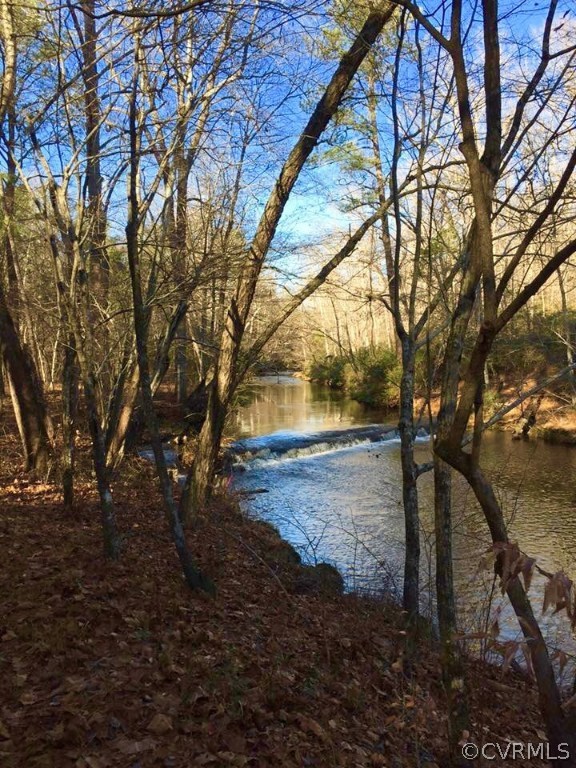 11422 Rhododendron Lane Doswell, VA 23047 - Photo 7 of 47 Newfound River (back of property)