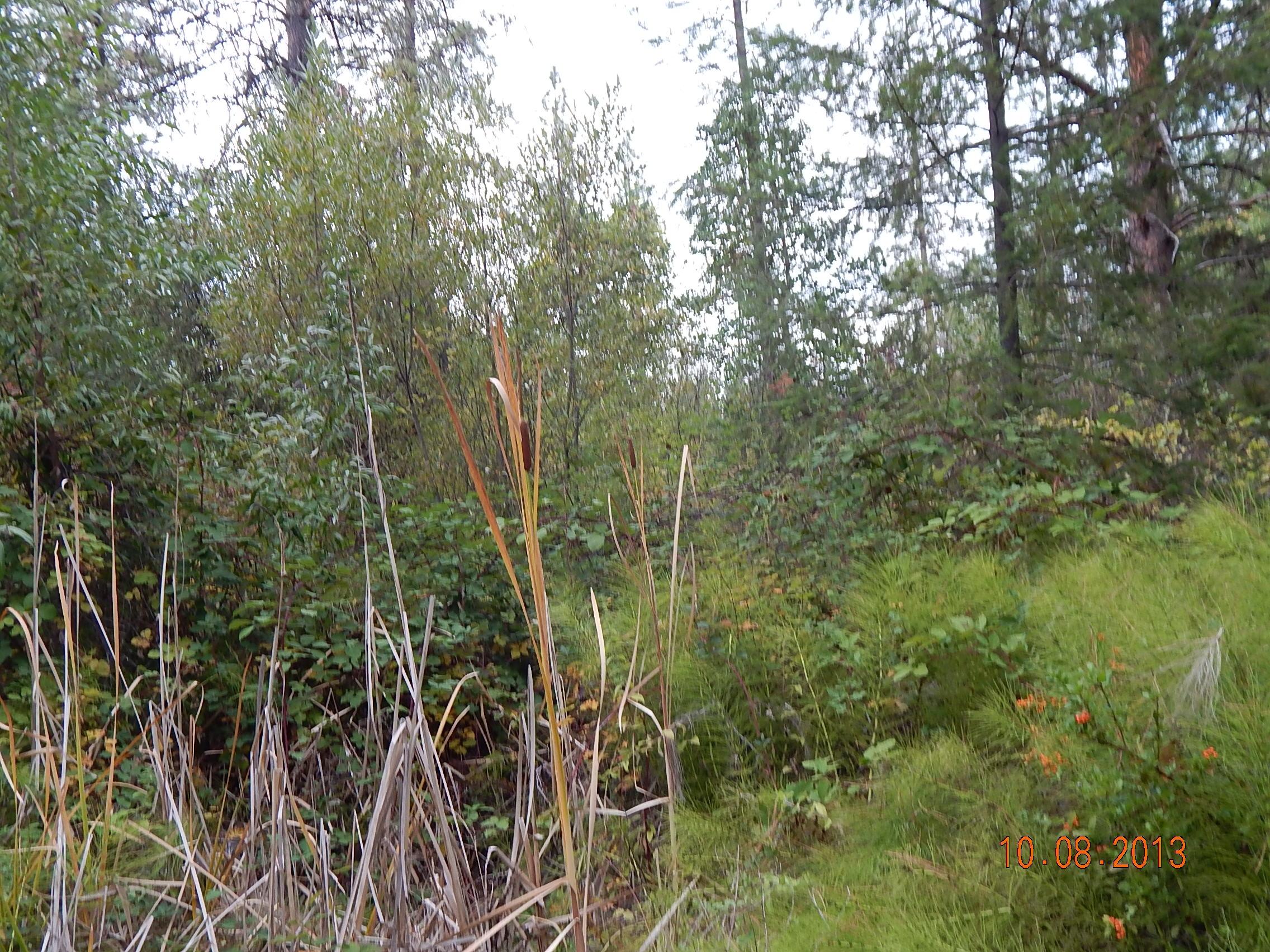 20 Mountain Meadow Road Junction City, CA 96048 - Photo 9 of 16 DSCN0693