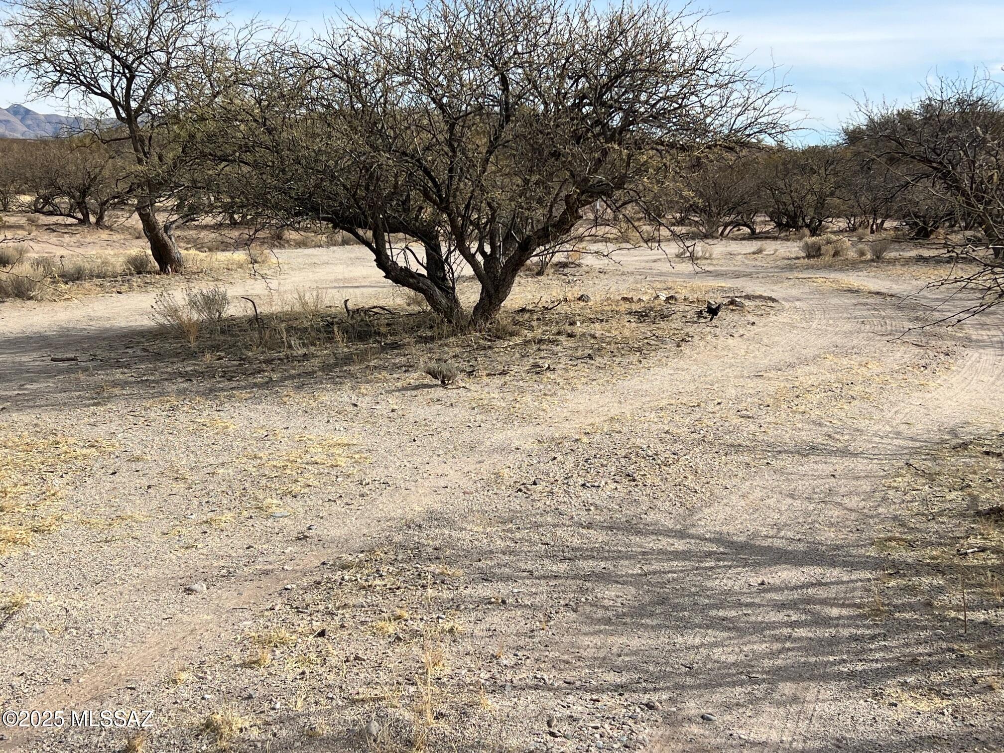 5.29-ac North Cascabel Road Benson, AZ 85602 - Photo 12 of 17