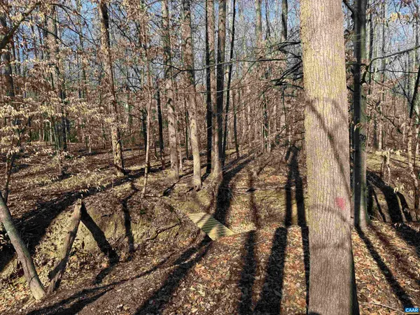 $479,000 | 2019 Bybee Road, Louisa, VA 23093