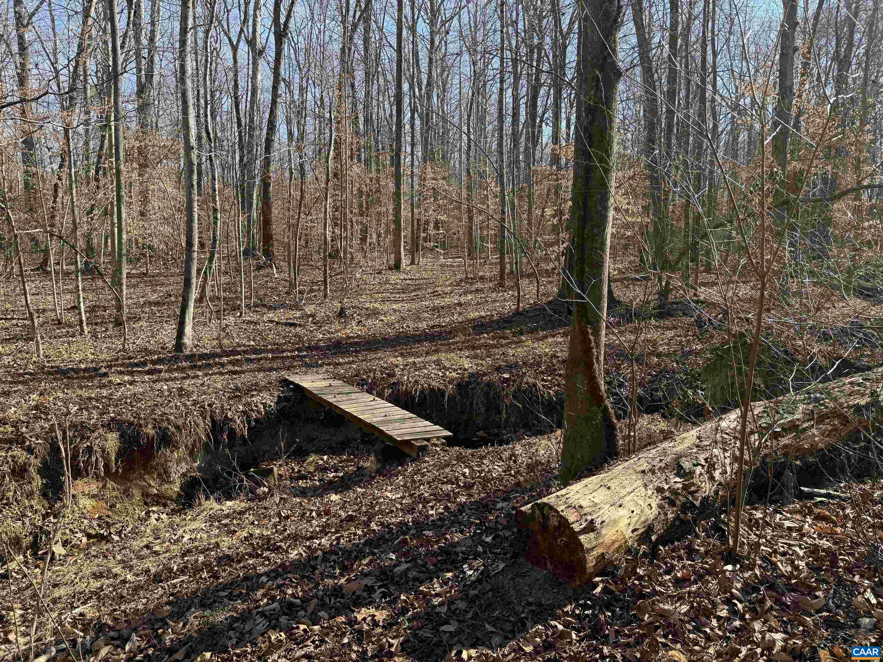 2019 Bybee Road Louisa, VA 23093 - Photo 41 of 47 a view of a backyard with fountain