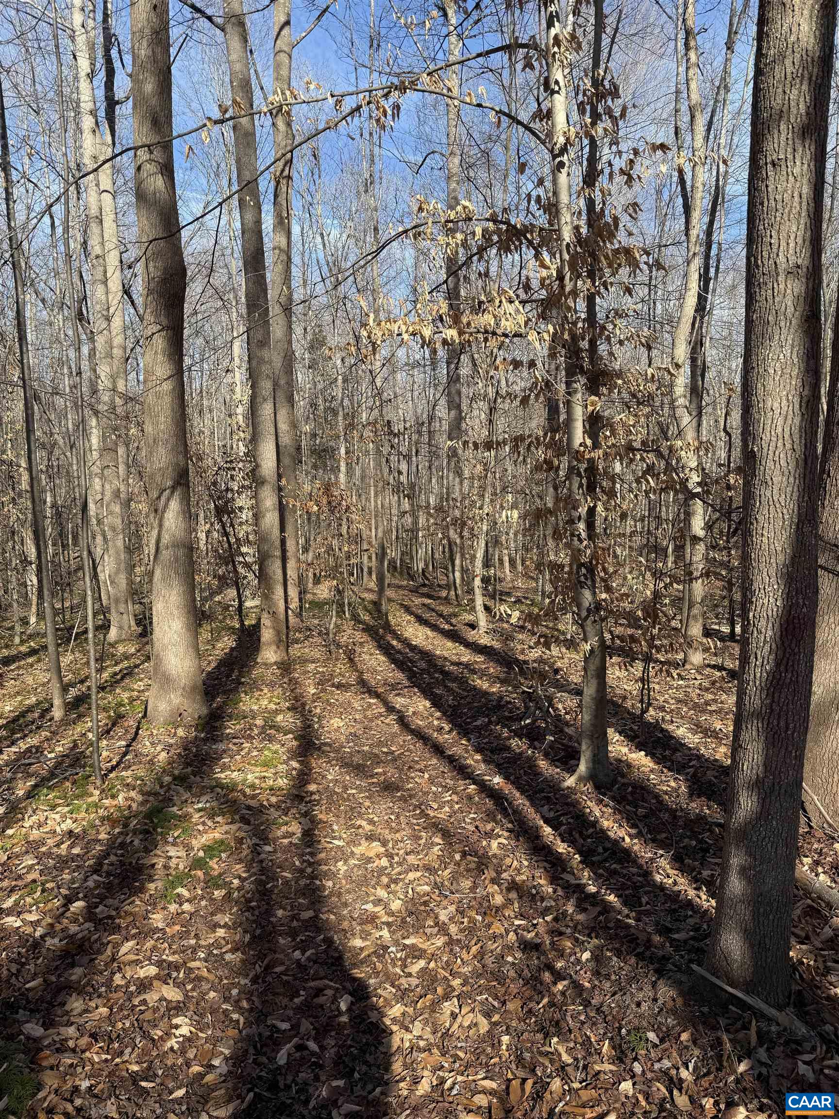 2019 Bybee Road Louisa, VA 23093 - Photo 42 of 47 a view of a yard with wooden fence
