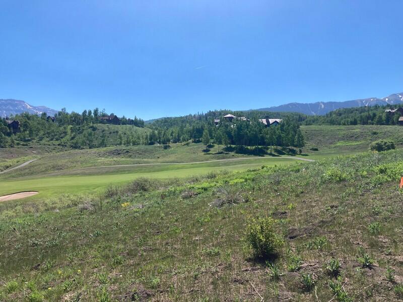 Tbd Adams Ranch Road Mountain Village, CO 81435 - Photo 5 of 11 goldberg 2