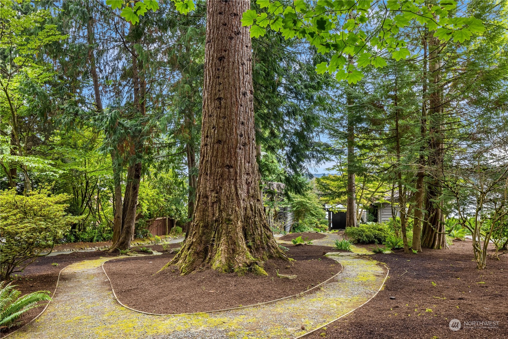 4232 Hunts Point Road Hunts Point, WA 98004 - Photo 13 of 23 a view of a fire pit with large trees