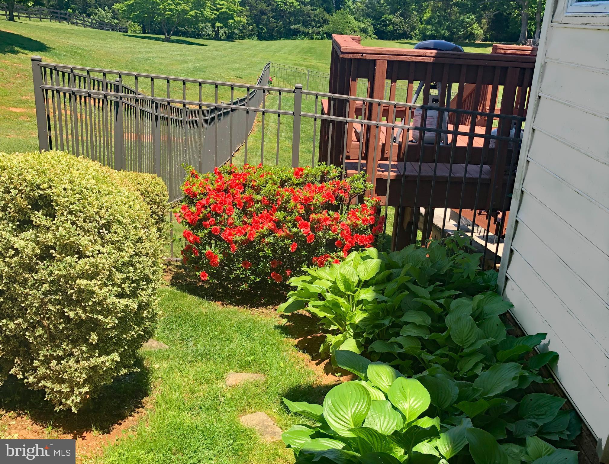 6277 Griffinsburg Road Reva, VA 22735 - Photo 51 of 73