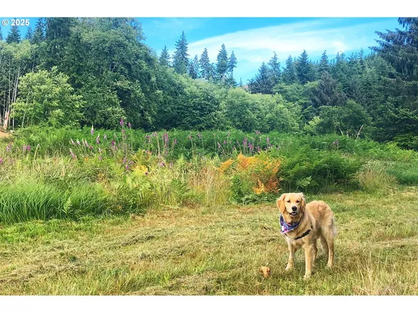 $99,000 | South Valley Lane, Unit 5, Naselle, WA 98638