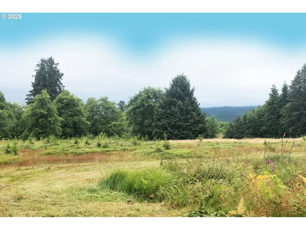 $99,000 | South Valley Lane, Unit 5, Naselle, WA 98638