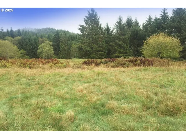 $110,000 | South Valley Road, Unit 5, Naselle, WA 98638