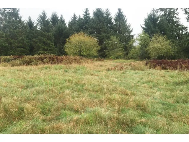 $110,000 | South Valley Road, Unit 5, Naselle, WA 98638