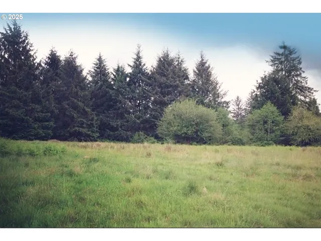 $110,000 | South Valley Road, Unit 5, Naselle, WA 98638