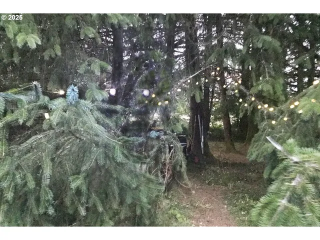 $110,000 | South Valley Road, Unit 5, Naselle, WA 98638