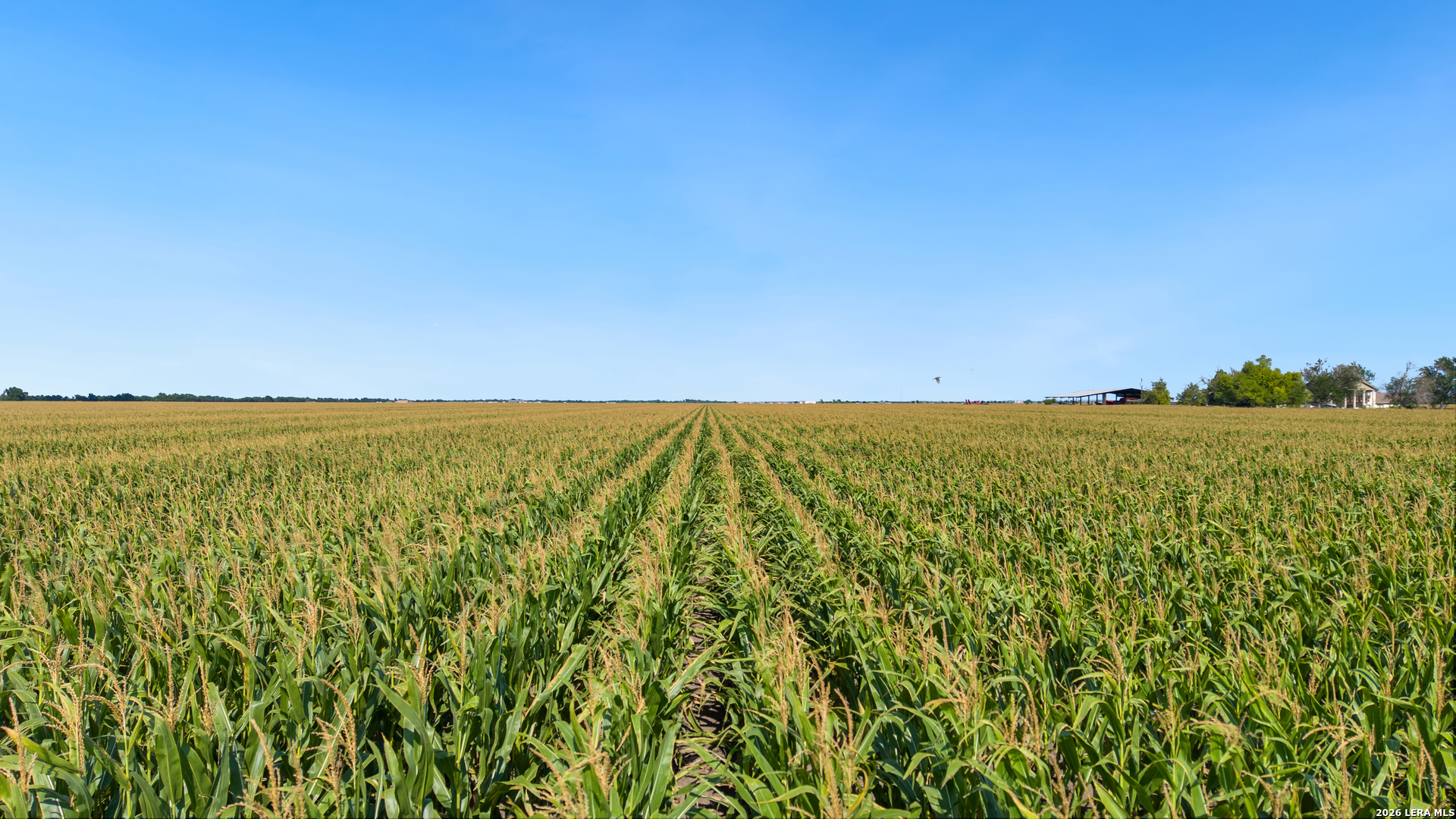 4669 Fm 973 Taylor, TX 76574 - Photo 5 of 26 a view of an ocean