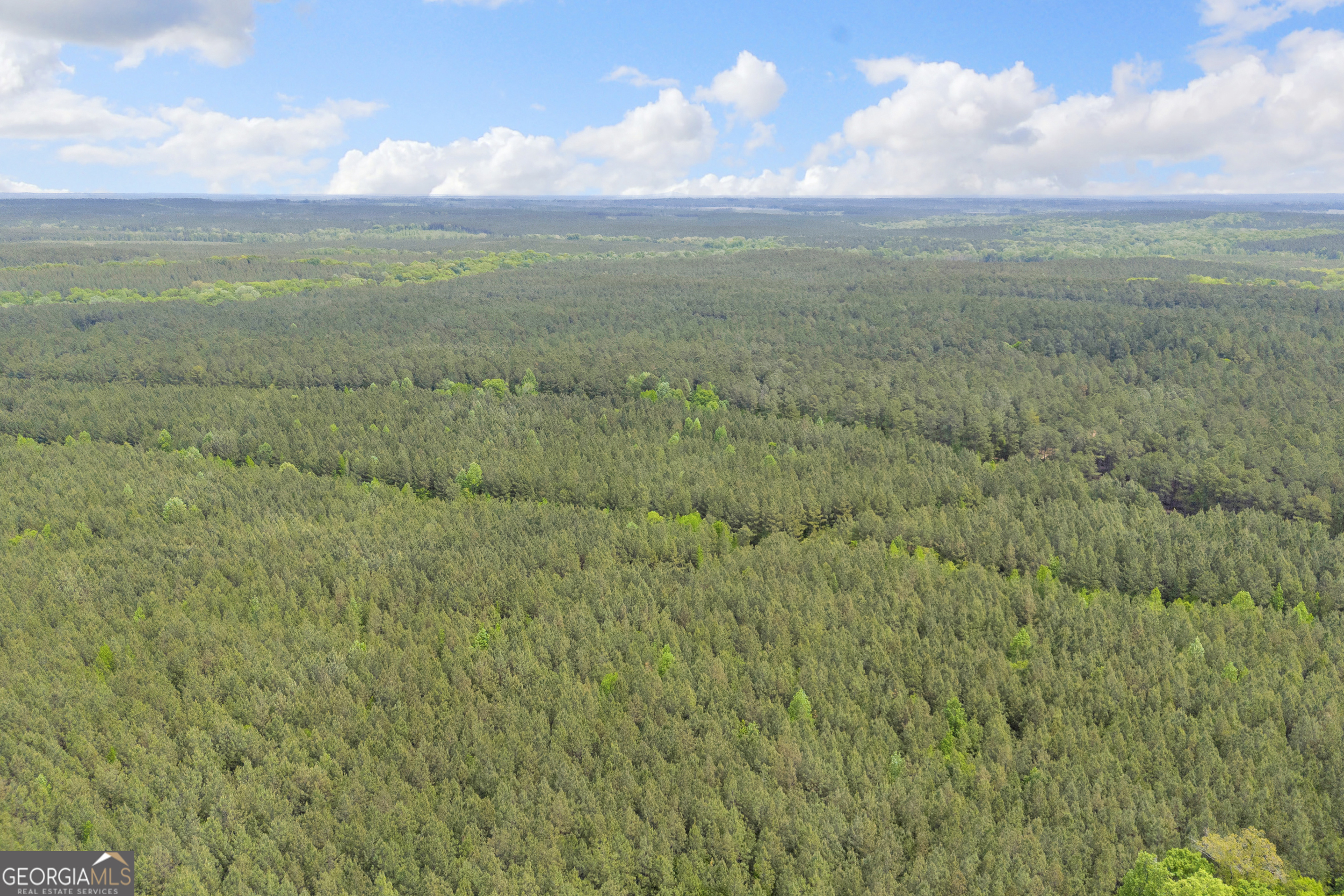 0 Upper Mill Road Northeast Crawfordville, GA 30631 - Photo 11 of 29 a view of an ocean