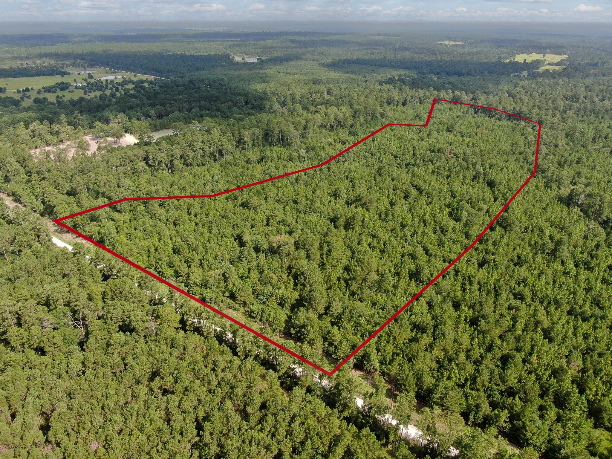 0 Scales Ranch Road Huntsville, TX 77320 - Photo 4 of 22